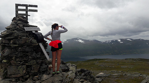 Bårdsfjellet 