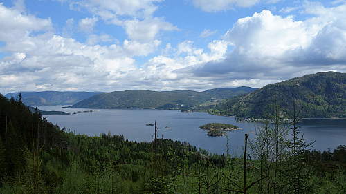 Byglandsfjorden sett fra skogsveien på vei opp fra Horverak.