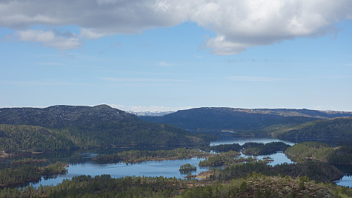 Gyvatn og Evje og Hornnes høyeste punkt, Midtstrandnuten, godt synlig i nordvest.