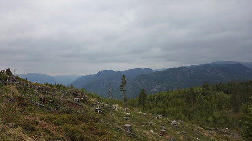 På vei opp mot Vikfjell. Utsikt nordover.