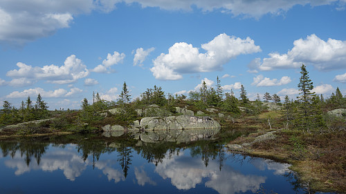 Fint fjellvann.