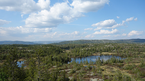 Utsikt nordover.
