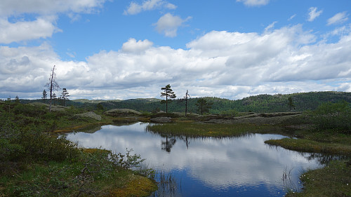 Tjønn øst for Nystøylheii.