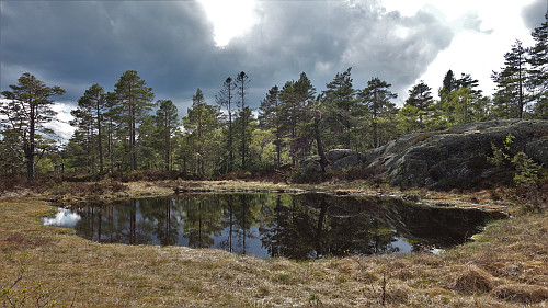 Tjern i nærheten av Vikheii.