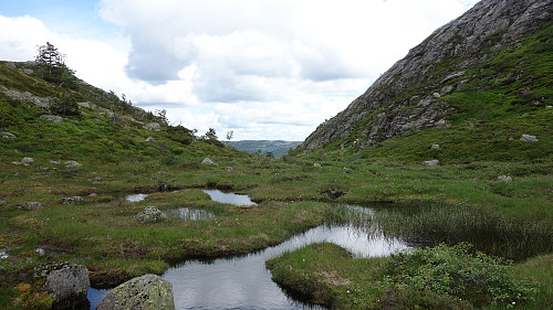 Dalsøkket mellom Svenkeslifjellet og Støylsknuten.