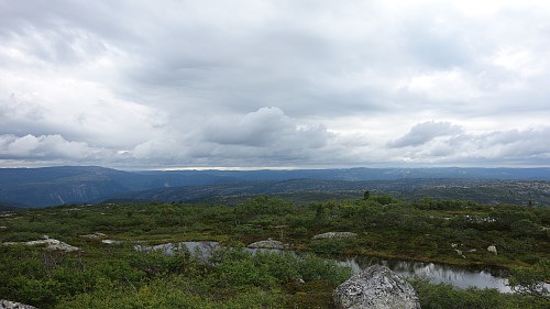 Utsikt nordover fra Sandvassheii.