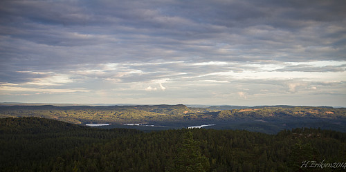Utsikt fra branntårnet på rafjellet