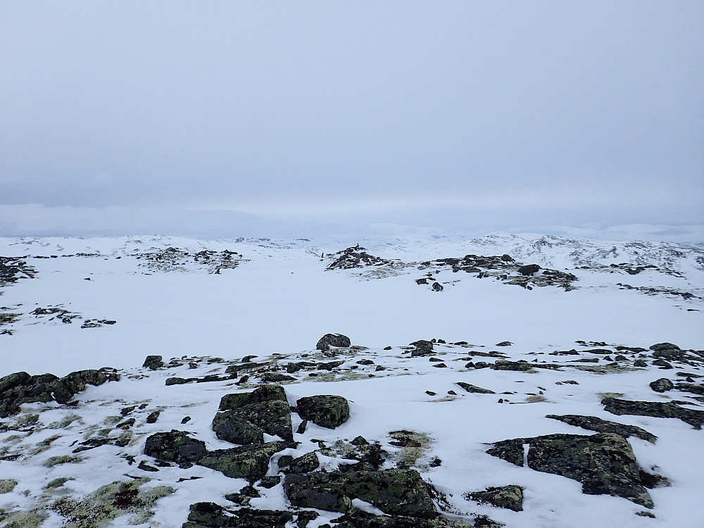 Skjeltrene