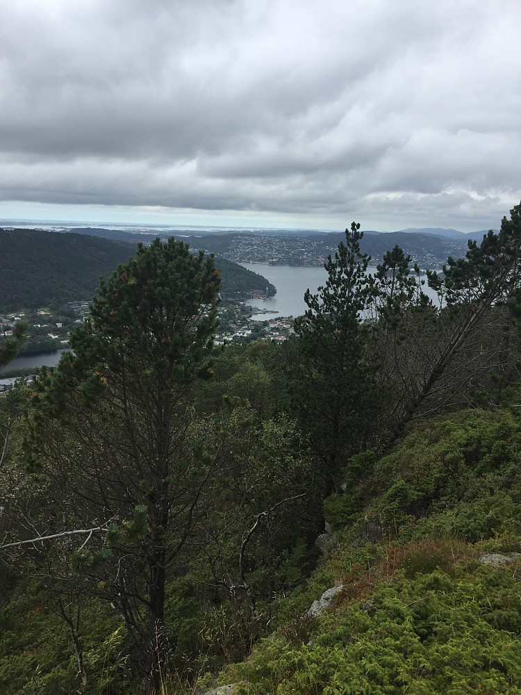 Holafjellet