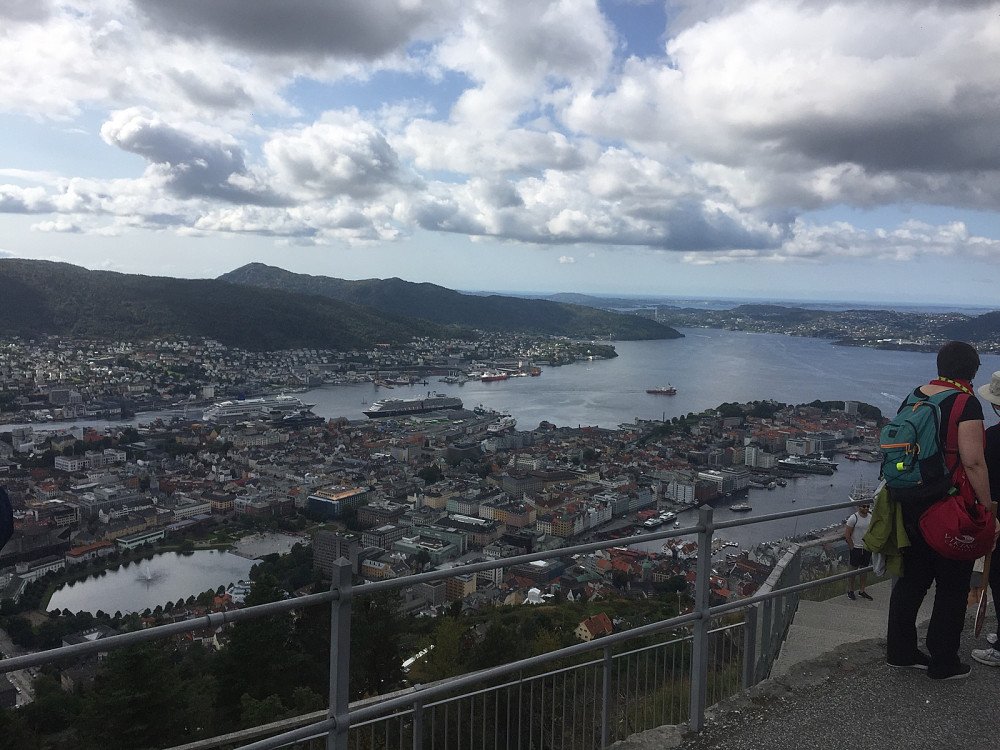 Fløyen