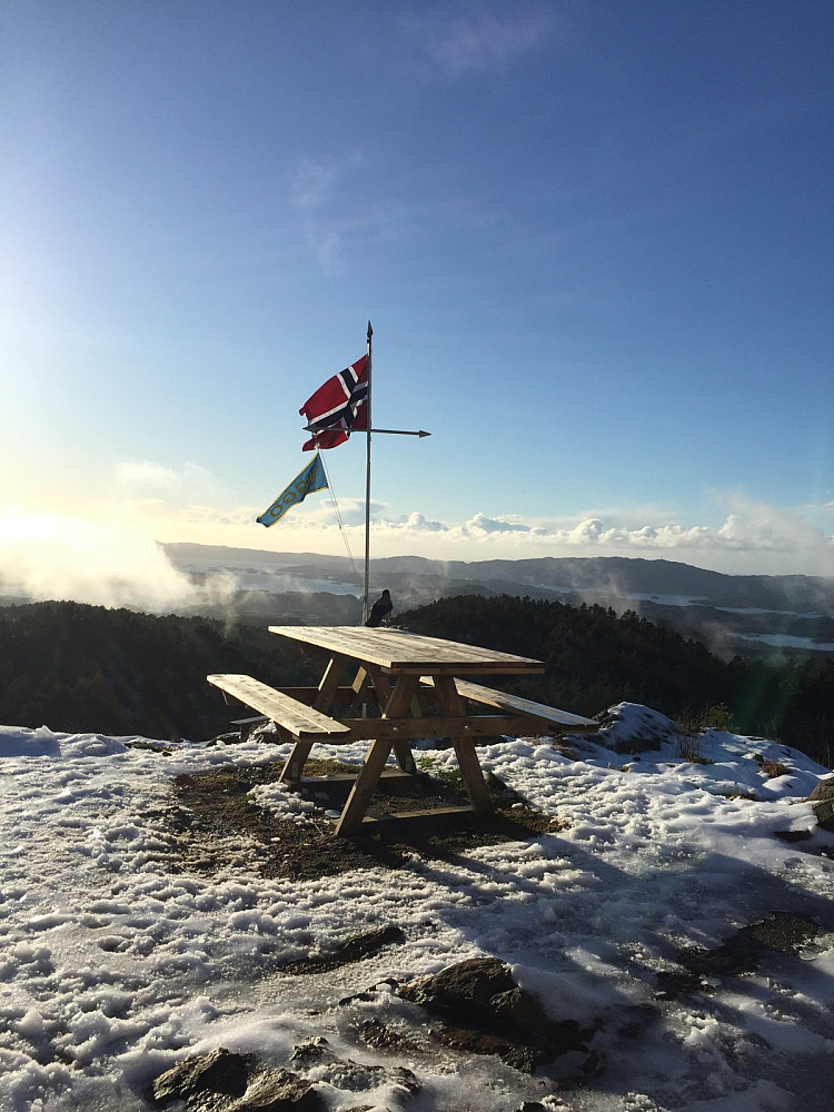 Fantastisk fint på Viggohytten i dag- vaffel og solbertoddy gjorde susen