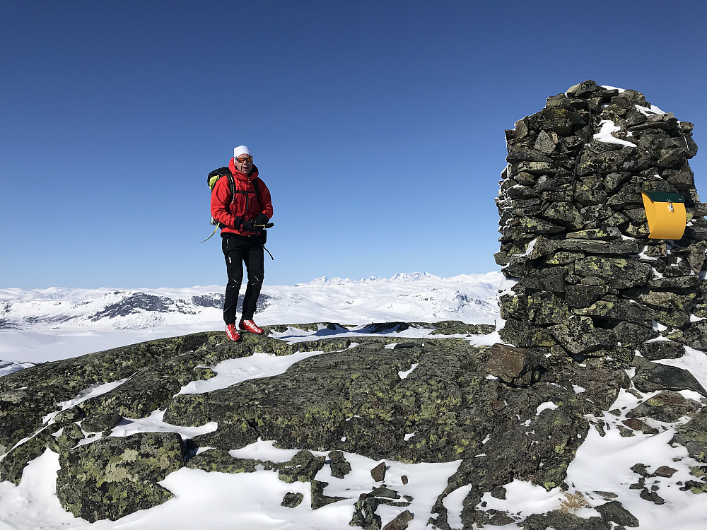 Toppvarden