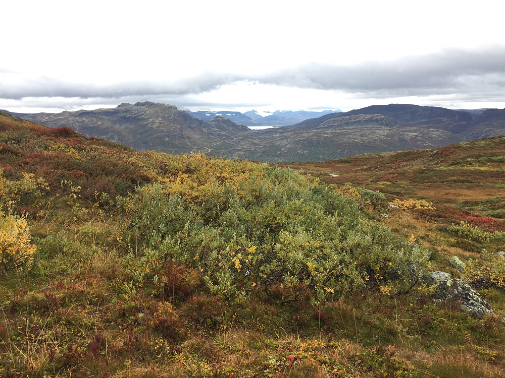 Høstfarger i fjellet