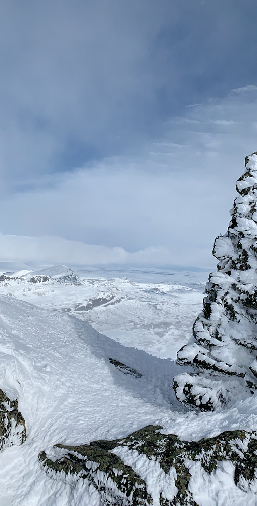 Toppvarden
