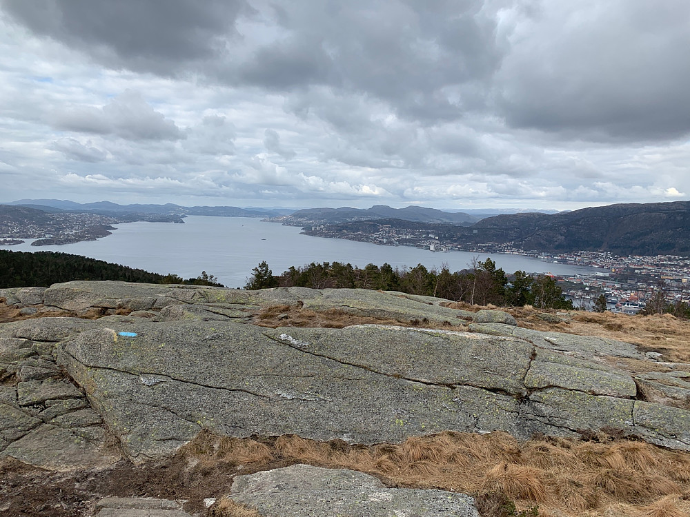 Damsgårdsfjellet