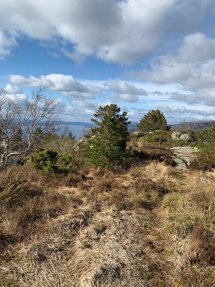 Ravnefjellet