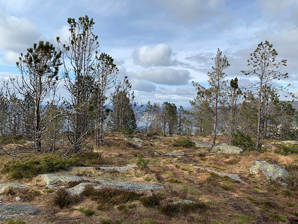Holafjellet