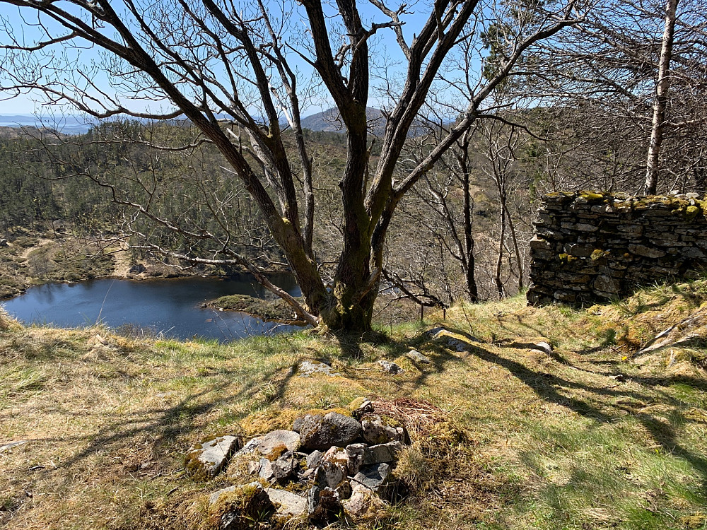 Ørneredet