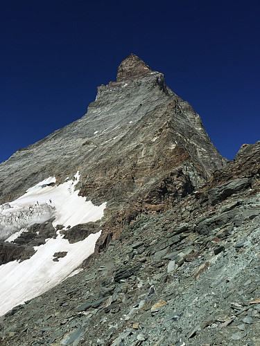 Nede! returen ned "Hörnli ridge"