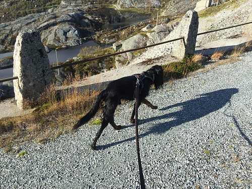 Tilbake ved demningen