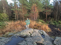 Terje61_20171018_59e7a63180ebf.jpg