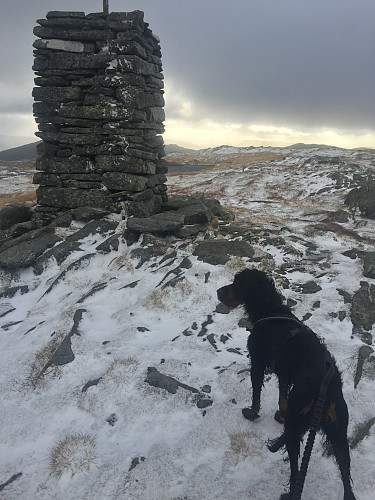Austefjellet