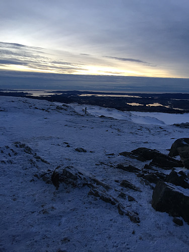 Livarden
