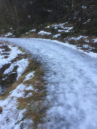Ned fra Nattlandsfjellet