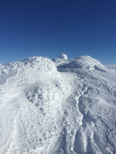 Kyrkedørsnuten