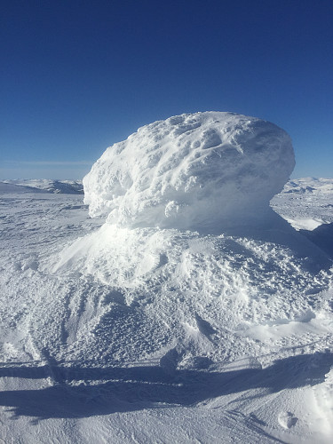 Folarskardsnuten 