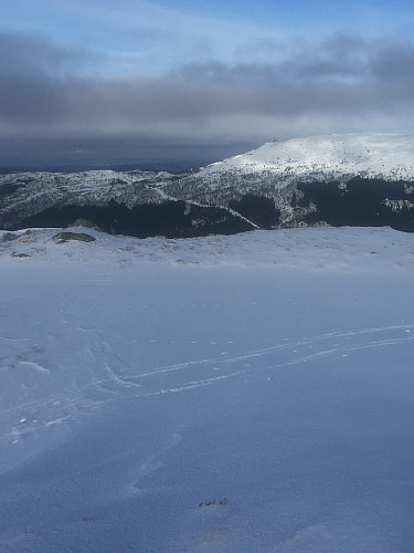 Retning Ulriken fra Totlandsfjellet