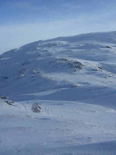 Veien videre mot Livarden fra Totlandsfjellet