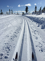 Terje61_20180317_5aad514eee9ed.jpg