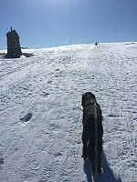 Terje61_20180401_5ac0cdc53b963.jpg