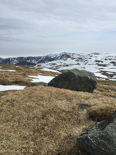 Sletteggen mot Gullfjellet