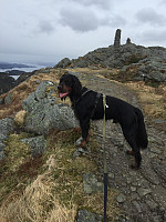 Terje61_20180501_5ae85717f007a.jpg