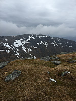 Terje61_20180506_5aef104951707.jpg