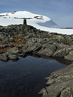 Terje61_20180513_5af85d188ffba.jpg
