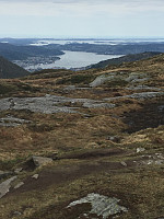 Terje61_20180513_5af85d3221be1.jpg