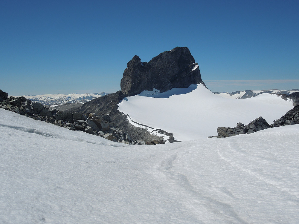 Skardstinden fra Svellnosbrean