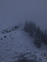 Terje61_20181205_5c0816c01bef8.jpg