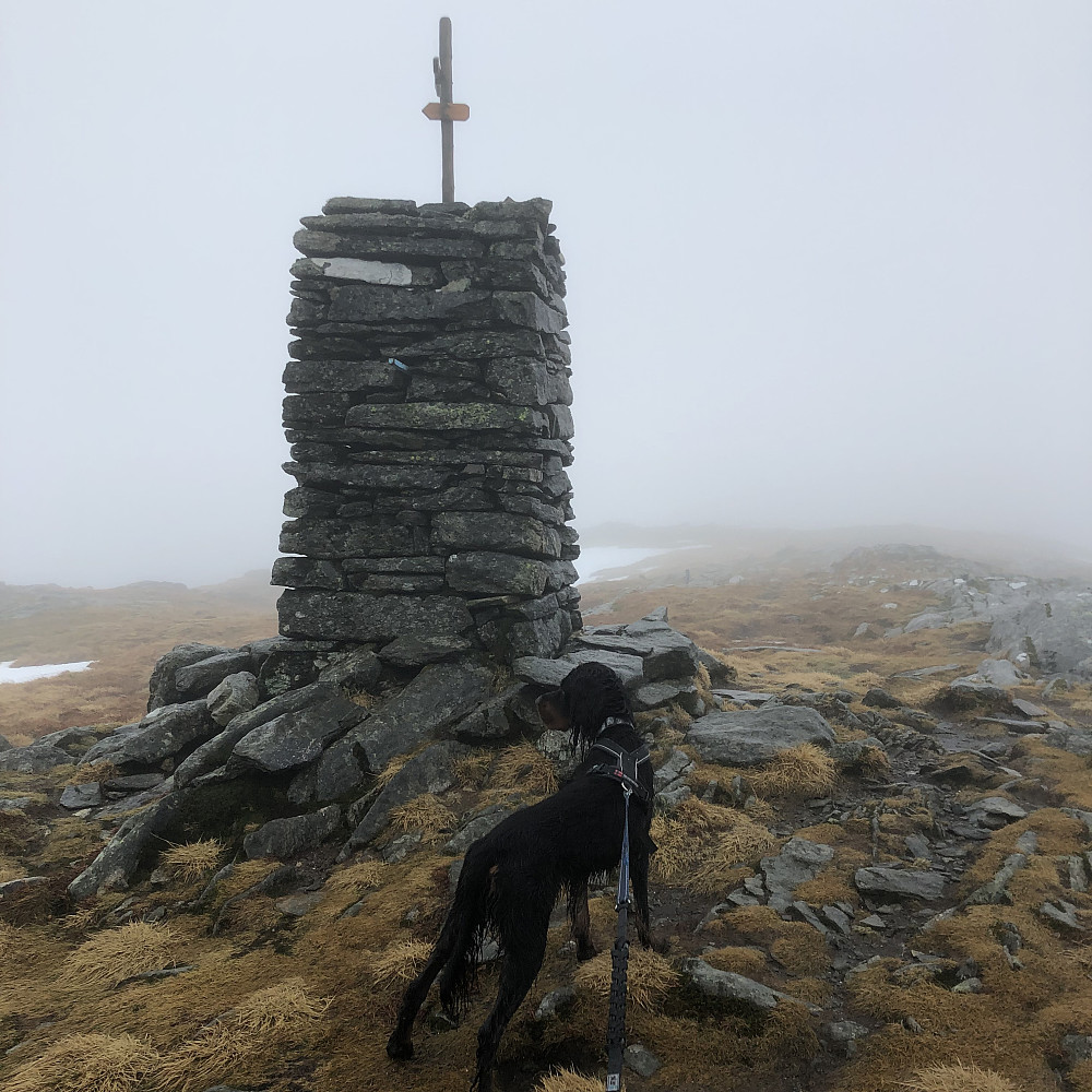 Austefjellet