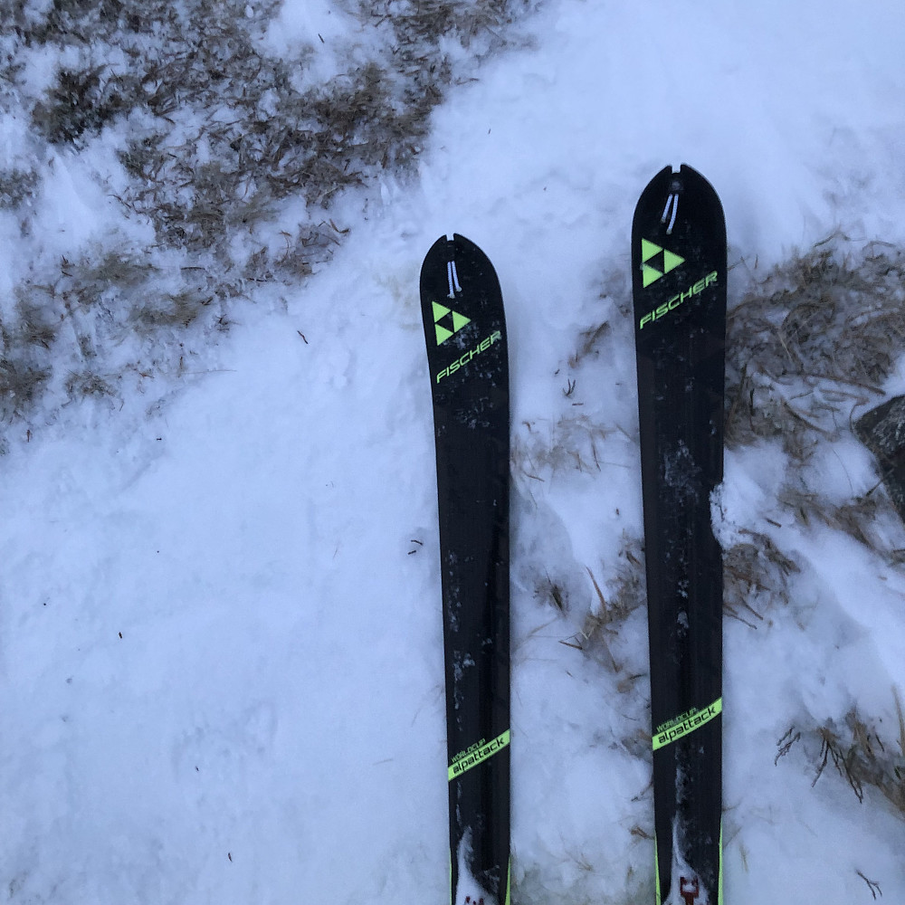 Ikke for my snø!