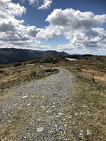 Terje61_20190512_5cd80dd6d6426.jpg