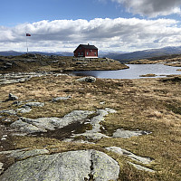 Terje61_20190512_5cd80ddca2868.jpg