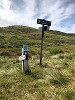 Terje61_20190809_5d4d9c1046305.jpg