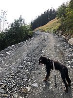 Terje61_20190809_5d4d9c1106cc2.jpg