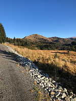 Terje61_20191103_5dbf1a87b1b38.jpg