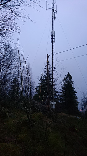 Dyngelandsåsen 
