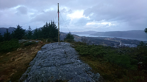 Birkelandsnipa 